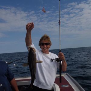 Meet your Posher, Sandra